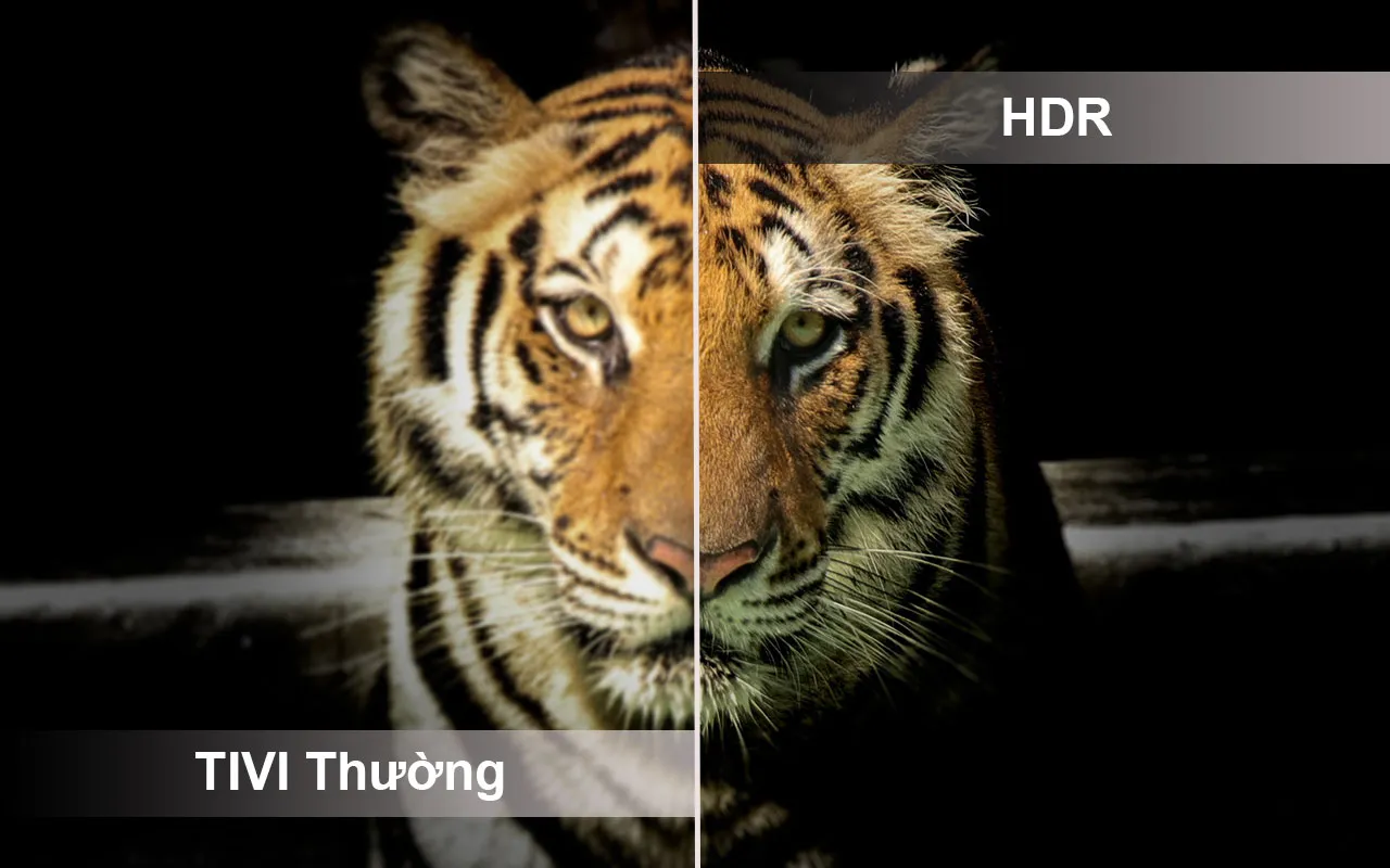 TIVI sử dụng HDR