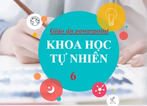 Giáo Án PPT KHTN lớp 6 Sách Chân Trời Sáng Tạo