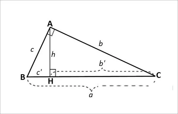 Tính đường cao AH trong tam giác vuông ABC