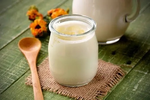 Độc, lạ cách làm sữa chua từ nấm kefir-7 cách làm sữa chua từ nấm kefir Cách làm sữa chua từ nấm Kefir thơm ngon dinh dưỡng doc la cach lam sua chua tu nam kefir 467