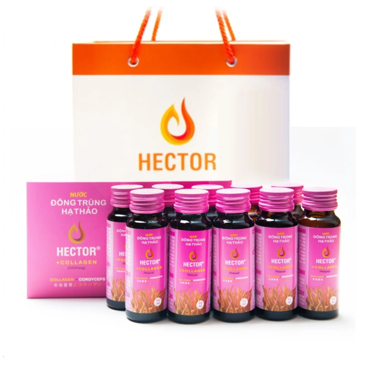 HECTOR COLLAGEN 