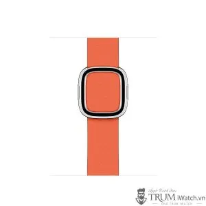 Apple Watch Modern Buckle cam 300x300 - Hướng dẫn sử dụng đồng hồ Apple Watch cho người mới bắt đầu
