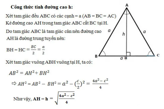 cong-thuc-tinh-duong-cao-trong-tam-giac-can