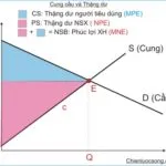 Kinh tế học: Ảnh hưởng của việc tăng VAT 12% dưới góc độ kinh tế học