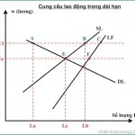 Kinh tế học (P5: Chỉ số kinh tế vĩ mô trong dài hạn)