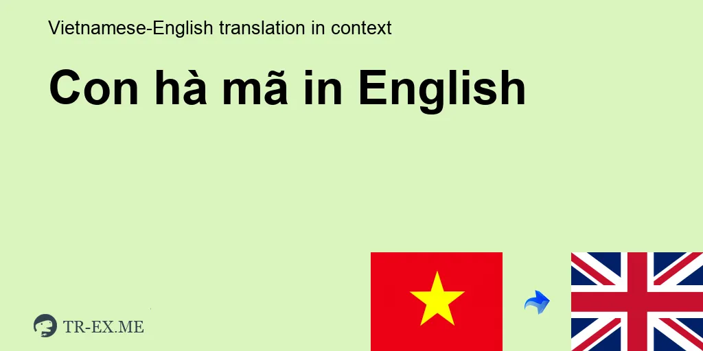 CON HÀ MÃ Tiếng anh là gì - trong Tiếng anh Dịch - Tr-ex