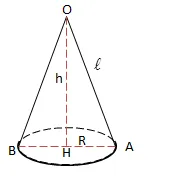 cho-hinh-non-nhu-hinh