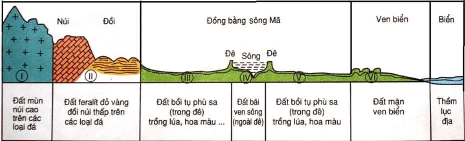 [CHUẨN NHẤT] Câu hỏi đặc điểm của nhóm đất feralit