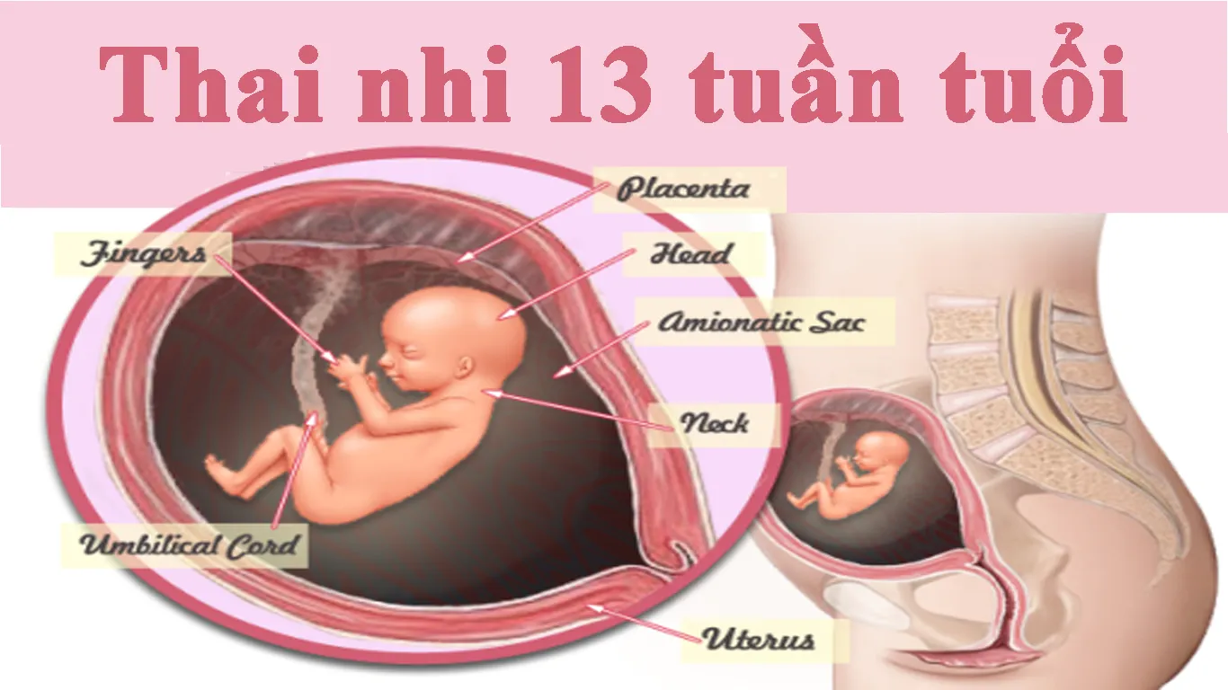 thai-13-tuan-phat-trien-nhu-the-nao-1
