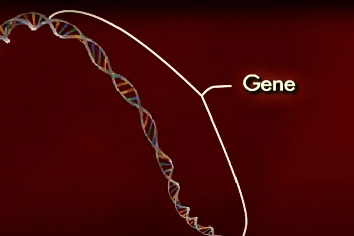 Gen mã di truyền và quá trình nhân đôi ADN