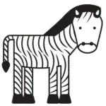 Zebra