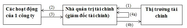 Vai trò của nhà quản trị tài chính