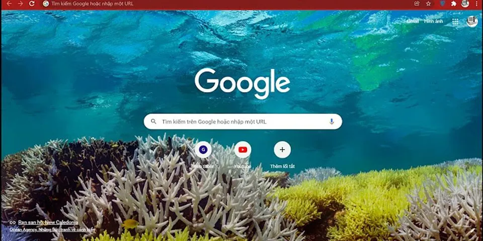 Cách đổi màu chủ Google trên máy tính