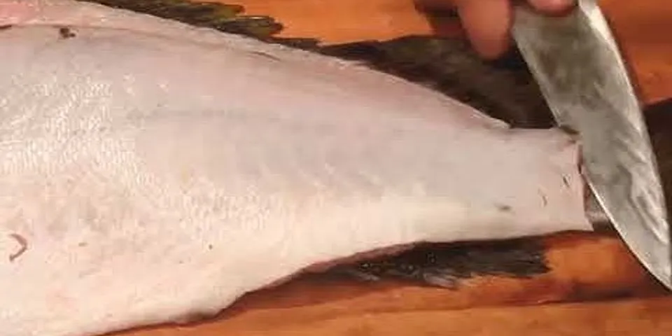 Cách làm cá mú sashimi