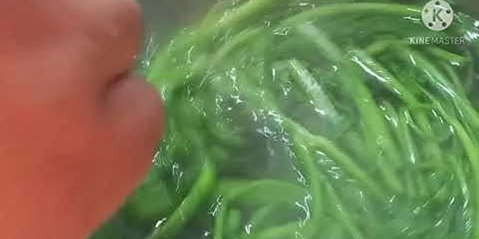 Cách nấu canh rau muống me chua