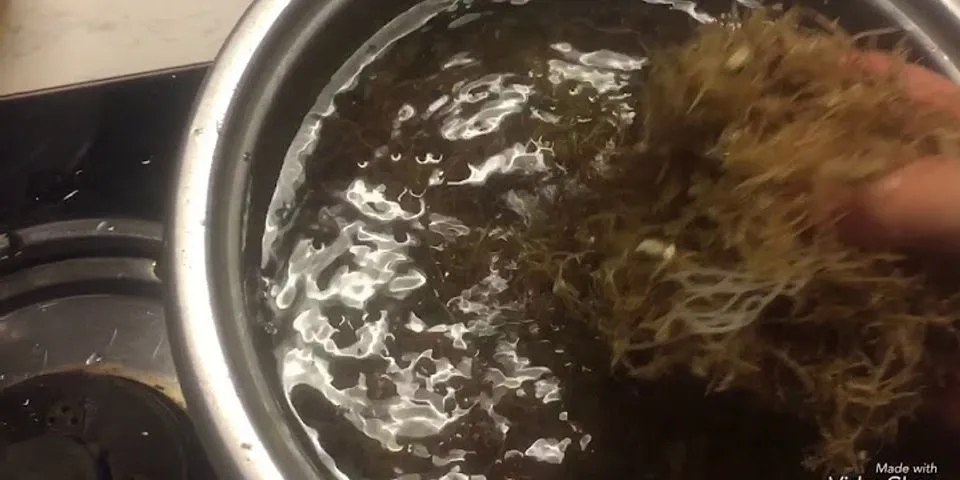 Cách nấu rau câu biển tươi