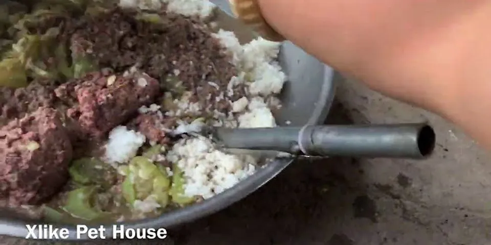 Cách nấu thức ăn cho chó Alaska