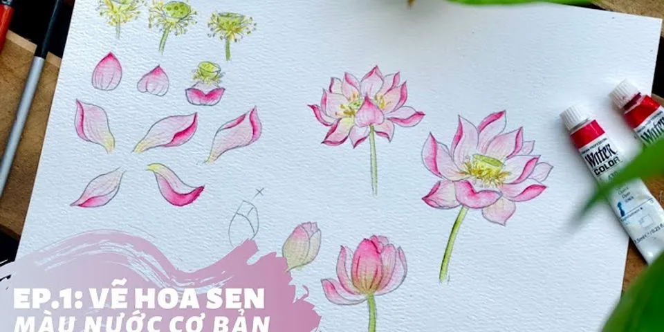 vẽ hoa sen đơn giản và cách điệu