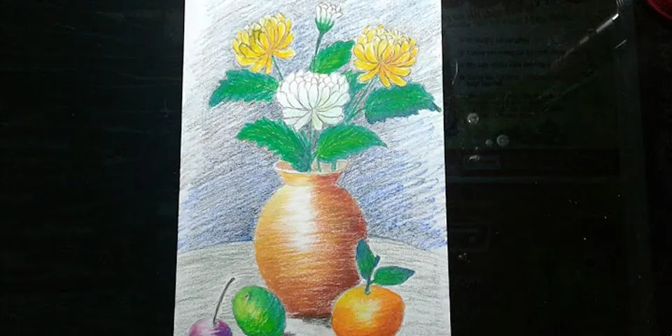 Cách vẽ lọ hoa cúc và quả