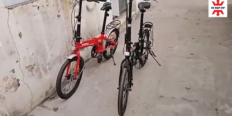 Xe đạp nào tốt nhất 2022