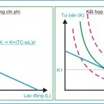 Kinh tế học (P20: Doanh thu, Chi phí, Lợi nhuận)