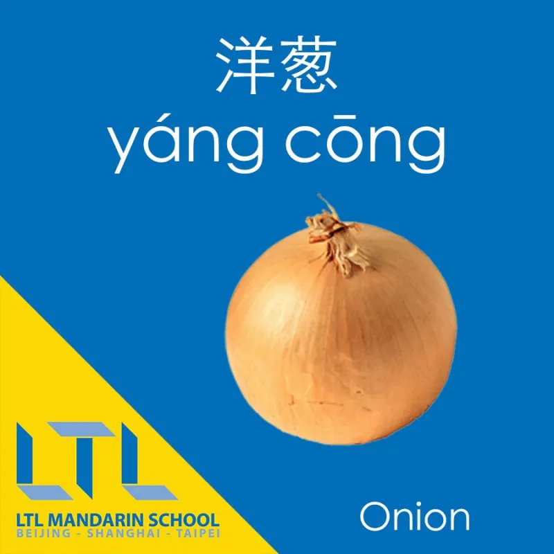 Onion in Chinese